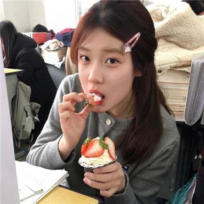 芝加哥警署第五季